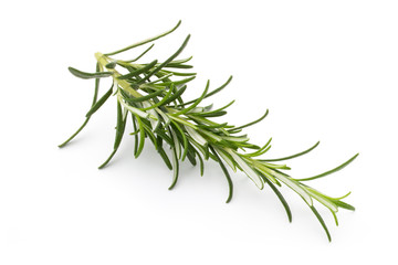 Fototapeta premium Rosemary twig on the isolated white background.