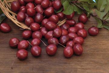 Red plum, close-up