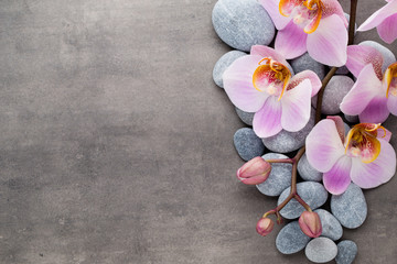 Obraz na płótnie Canvas Spa orchid theme objects on grey background.