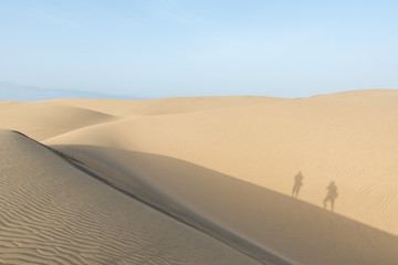 Shadow of couple walking in sand dunes of desert