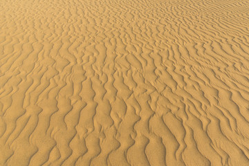 Sahara desert - beautiful landscape with sand dunes