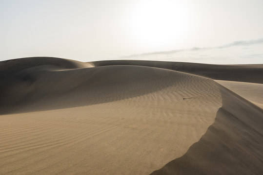 Sahara desert - beautiful landscape with sand dunes