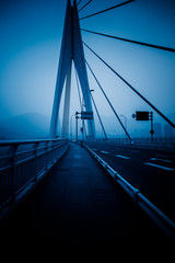 yangtze river bridge,chongqing china,blue toned image.