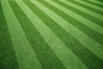 Sunny soccer playground artificial green grass background. © robsonphoto