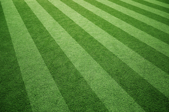 Sunny soccer playground artificial green grass background.