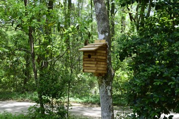 Wooden Bird House on a Tree in a Butterfly Garden.
