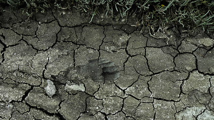 Lone footprint in caked mud