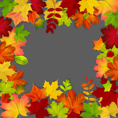 Frame composed of colorful autumn leaves