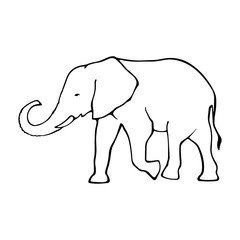 Fototapeta premium Vector outline elephant illustrarion
