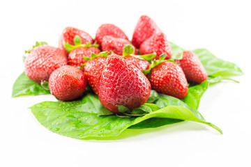 Isolated Strawberry Fruit
