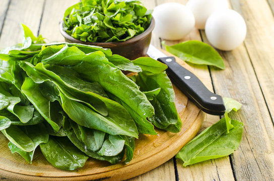 Fresh Leaves Of Sorrel