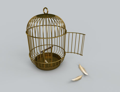 Open bird cage with feathers