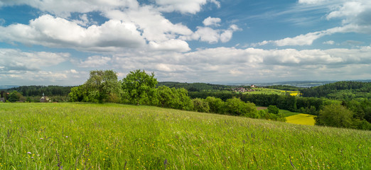 Bodensee Landschaft im Sommer 