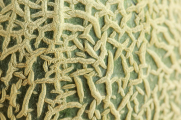 melon fruit texture