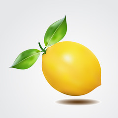 Lemon with leaf on white background