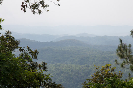 View Off The Escarpment, Mountain Pine Ridge Reserve