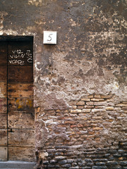 wooden door with worn wall
