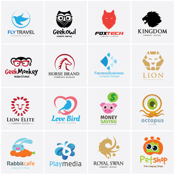 Animal logo collection,lion logo,dragon logo,eagle logo,bird logo,swan logo,vector logo template
