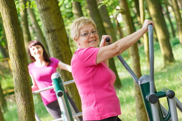 Fototapeta na wymiar Senior and young woman exercising upper body on outdoor gym, healthy lifestyle