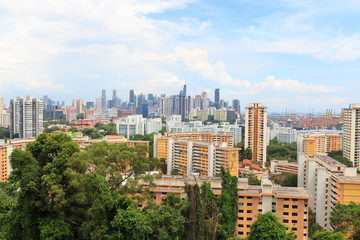 Obraz premium Panorama view with Singapore skyline seen from Mount faber rainforest