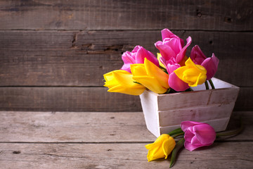 Pink and yellow  spring tulips  in box on vintage  wooden backgr