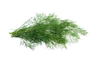 Bunch of fresh dill. Isolated on white background