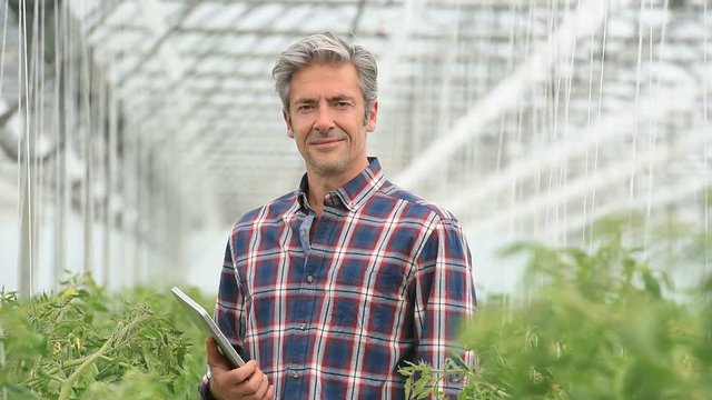 Closeup of agricultural engineer in greenhouse