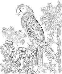 Hand drawn ink pattern. Coloring book for adult