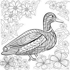 Hand drawn ink pattern. Coloring book for adult