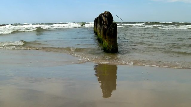  Buhnen am Ostseestrand in Ustka, Polen