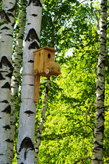 Скворечник