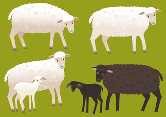 Set of sheep