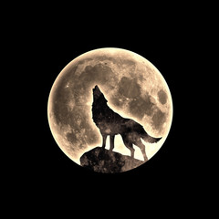 Howling wolf, full moon