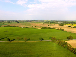 Fototapeta na wymiar aerial view on a agriculture field - bird view - germany