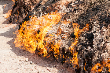Yanar Dag - burning mountain. Azerbaijan. closeup