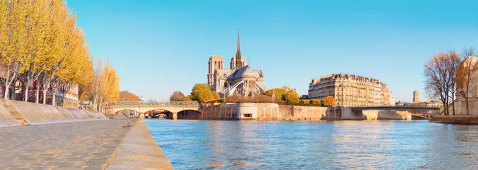 Fotobehang Parijs, panorama over de rivier de Seine met de Notre-Dame-kathedraal © tilialucida