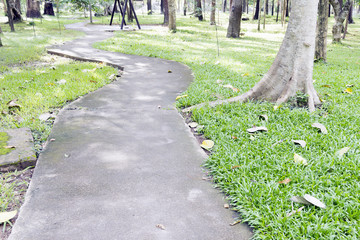 walkway in the park.