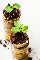 Golden coins in soil with young plant. Money growth concept.