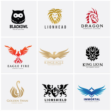 Animal logo collection,Eagle Logo set,bird logo,Phoenix logo,Vector Logo template