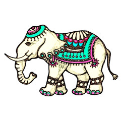 Obraz premium Indian Elephant, isolated on white