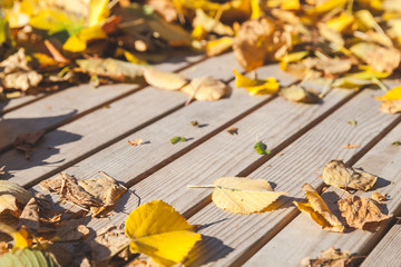 Old wooden table and yellow leaves in the sunlight