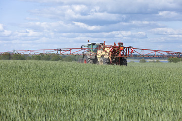 Fototapeta premium Traktor beim srühen von Pflanzenschutzmittel im Getreidefeld