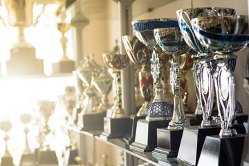 .Trophy awards for champion leadership in tournament