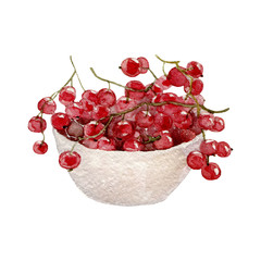 Red currants, watercolor on white background