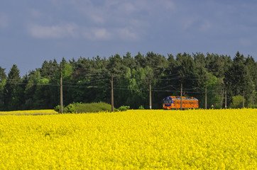 TRANSPORT KOLEJOWY - POCIĄG OSOBOWY NA SZLAKU © Wojciech Wrzesień