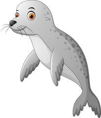 Cute baby seal cartoon
