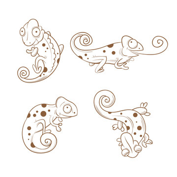Cartoon cute chameleons set. Four reptiles in different poses. Funny animals. Children's illustration. Transparent background. Vector contour image.