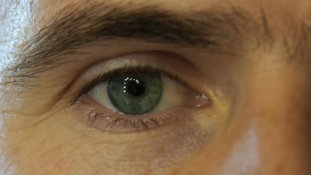 Green eye closeup of a caucasian middle age man with little wrinkles. Blinking right eye, moving pupil. Human vision concept
