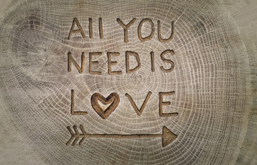 All you need is Love. The inscription on the tree. Background fo