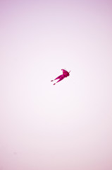Fototapeta na wymiar Thai style kite